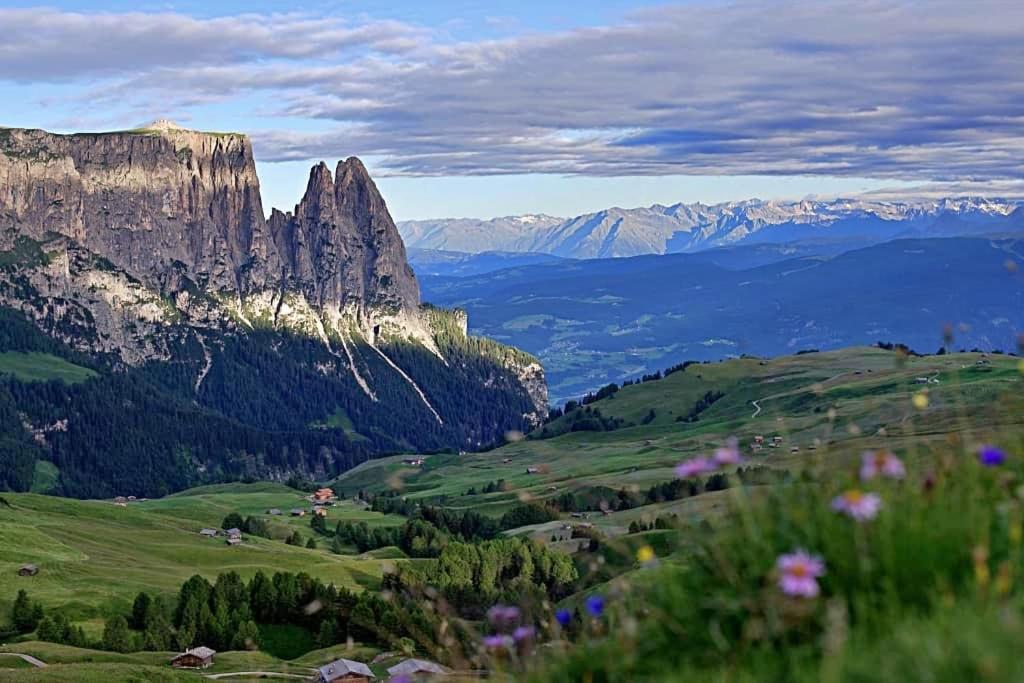 Paradiso Pure.Living Vegan Hotel Alpe Di Siusi Ngoại thất bức ảnh